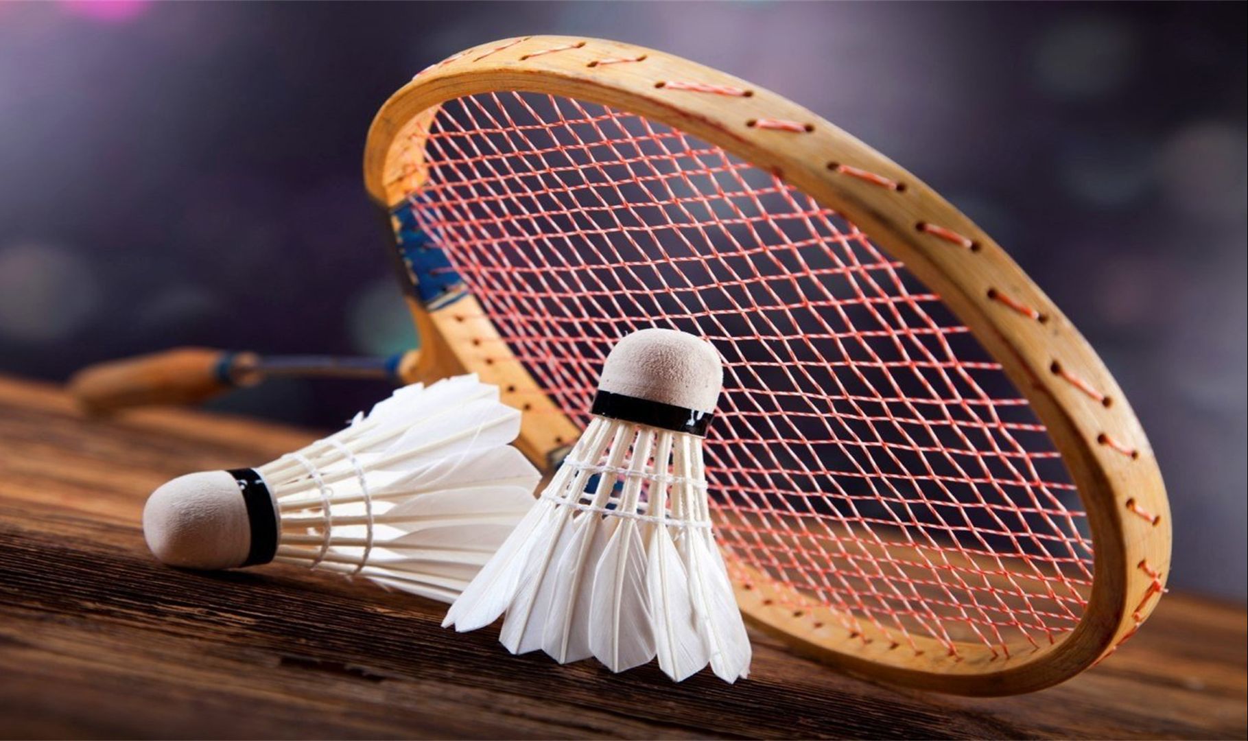 历史走向 历史走向